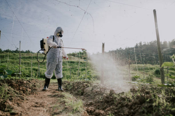 Best Best Pest Control Companies  in Byhalia, MS