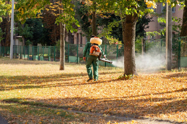 Best Residential Pest Control  in Byhalia, MS