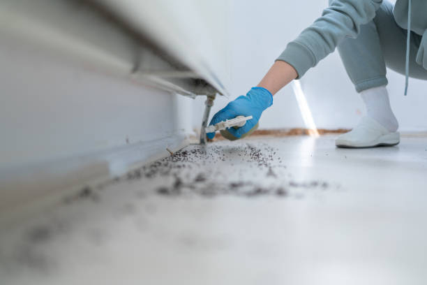 Best Emergency Pest Control  in Byhalia, MS