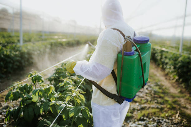 Best Commercial Pest Control Services  in Byhalia, MS
